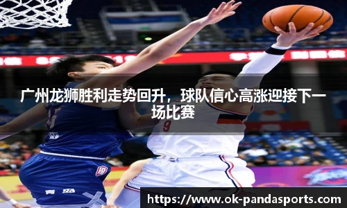 熊猫体育