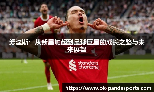 熊猫体育官网