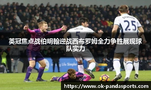 熊猫体育