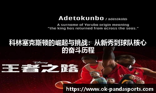 熊猫体育登录入口