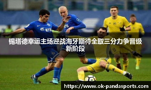 熊猫体育官方入口